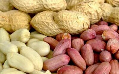 Duo Convicted 12 months in Prison for Smuggling Groundnuts into Zimbabwe