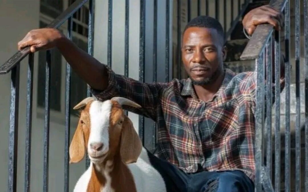Maskiri Arrested in Chitungwiza Over Alleged US$1,500 Goat Scam