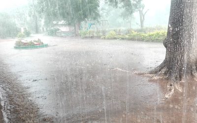 Farmers advised to wait for November rains