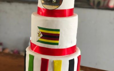 Mnangagwa Celebrates birthday with Orphanages in Harare, Masvingo