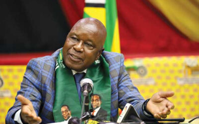 Zanu PF accuses Mumba of Meddling in Zimbabwean Laws