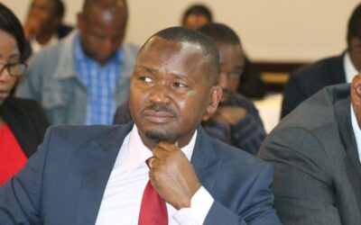 Recalled CCC legislator Sibanda refutes the existence of Tshabangu’s party position