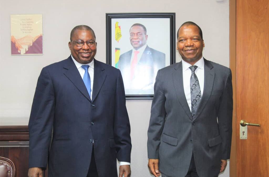 Dr. Mangudya appointed CEO of the Mutapa Investment Fund