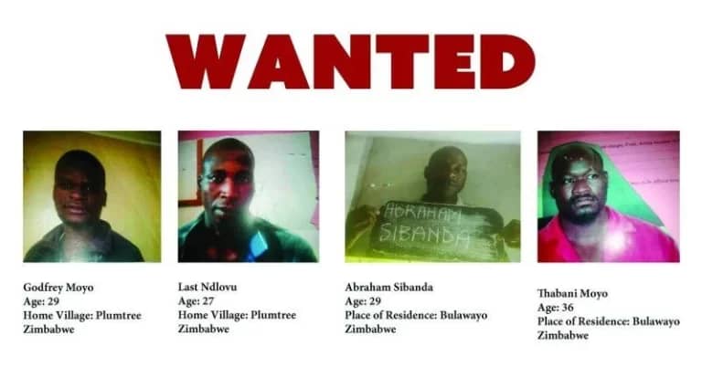 Botswana Authorities Launch Manhunt for Escaped Zimbabwean Prisoners Involved in a Rape Case