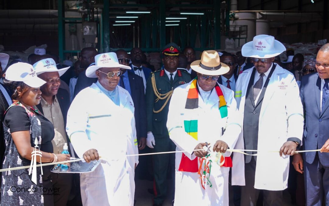 President Mnangagwa commissions a Mega milling plant in Tynwald