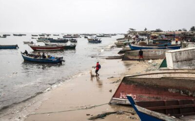 Chinese Trawlers Devastate Fish Stocks and Livelihoods in Angola