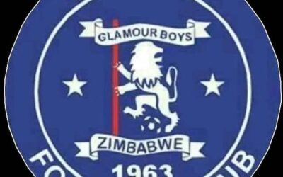 Dynamos suspends Marriot’s son for disrupting players’ training.