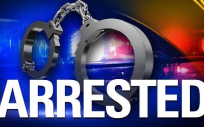 Zimbabwean National Sentenced to Life in Prison for Rape of 12-Year-Old Girl in South Africa