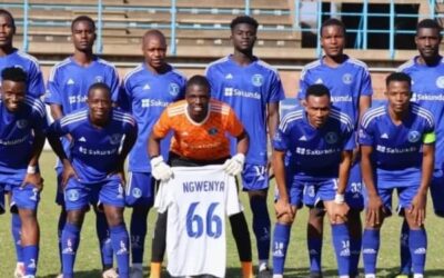 Dynamos Survive Relegation Scare as GreenFuel, Bikita Minerals, Yadah, Kwekwe United Face Drop 