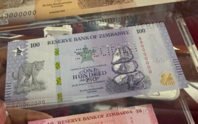 RBZ Introduces New ‘Big Five’ ZiG Banknotes to Boost Local Currency Usage