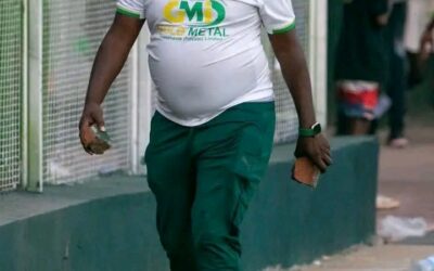 POLICE ARREST HARDROCK FC CEO AFTER VIOLENT PITCH INVASION AT CHAHWANDA STADIUM