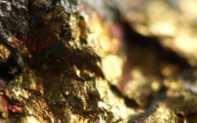 Zimbabwe on track for 50-tonne gold target as deliveries reach 17 tonnes in five months