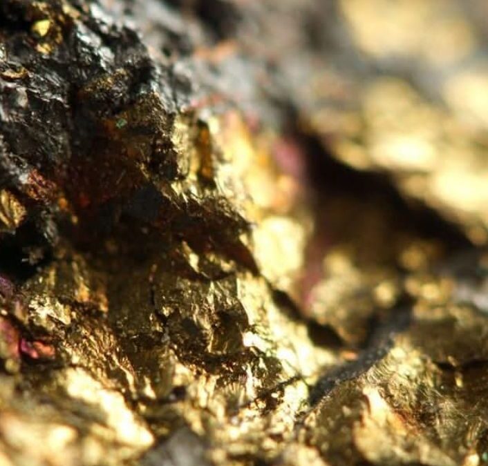 Zimbabwe on track for 50-tonne gold target as deliveries reach 17 tonnes in five months