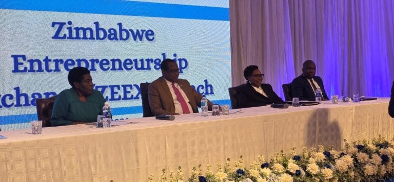 Zimbabwe Launches ZEEX to Unlock Capital for Small Businesses, Formalise Informal Sector